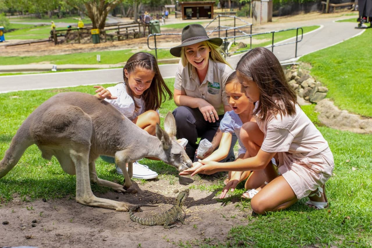Currumbin Wildlife Sanctuary Gold Coast Ticket - main image